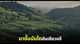 ป่าบงเปียง