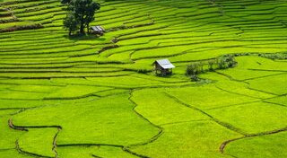 เที่ยวปลายฝนต้นหนาว