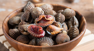 หอยแครง