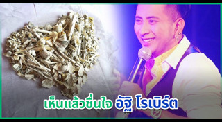 โรเบิร์ต สายควัน