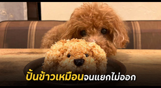 ข้าวปั้น