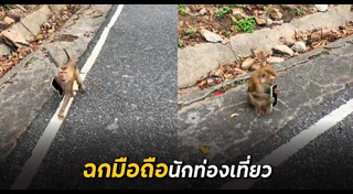 ขโมยมือถือ