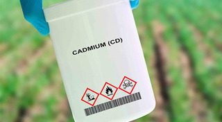 การปฐมพยาบาล