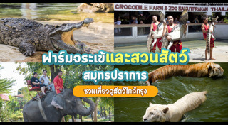 ฟาร์มจระเข้