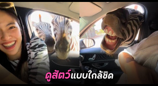 สัตว์ป่า