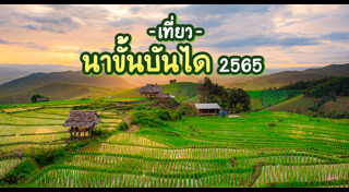 นาขั้นบันได