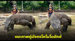 มังกรโคโมโด