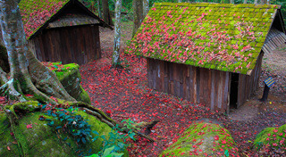 ภูหินร่องกล้า