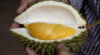 ที่เที่ยวศรีสะเกษ