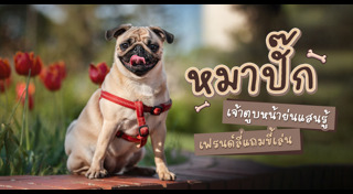 หมาพันธุ์ปั๊ก