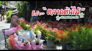 ตลาดต้นไม้