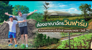 ปลูกผัก