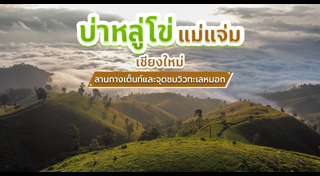 เที่ยวภูเขา