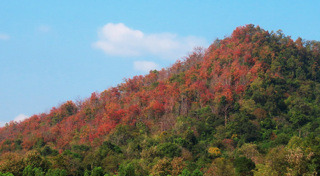 ที่เที่ยวกำแพงเพชร