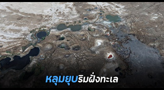 หลุมยุบ