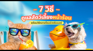 วิธีดูแลสัตว์เลี้ยง