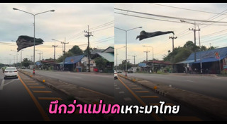 ภาพลวงตา