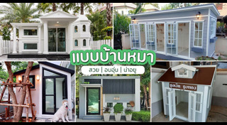 บ้านหมา