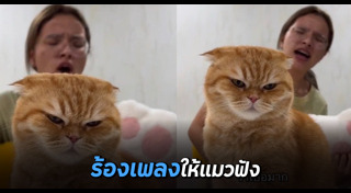 ร้องเพลง