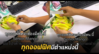 ปอกผลไม้