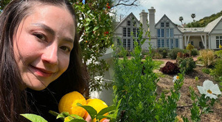 ไฟไหม้ป่าสหรัฐอเมริกา