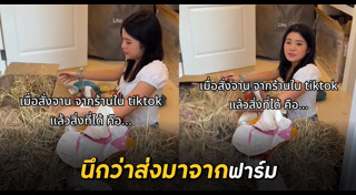 จานอาหาร