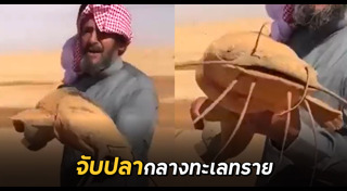 ทะเลทราย