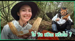 ข่าวดารา