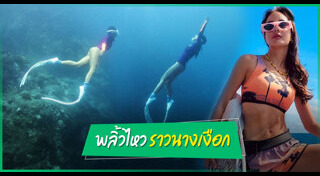 นท เดอะสตาร์