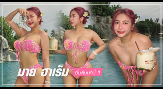 มาย ฮาเร็ม