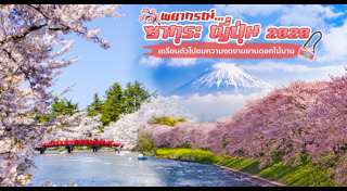 ซากุระญี่ปุ่น