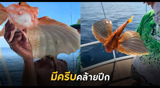 ตกปลา
