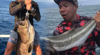 ล่าสัตว์