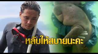 พะยูนมาเรียม