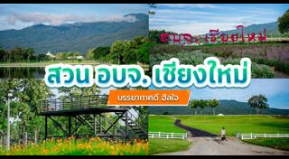 เที่ยวเชียงใหม่