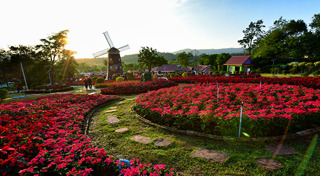 ที่เที่ยวเลย