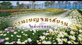 เที่ยววังน้ำเขียว