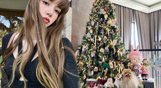 ต้นคริสต์มาส