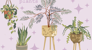 ฮวงจุ้ยจัดสวน