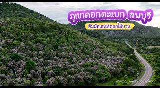 ที่เที่ยวหน้าฝน