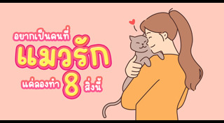 วิธีเลี้ยงแมว