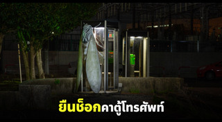 จักจั่น