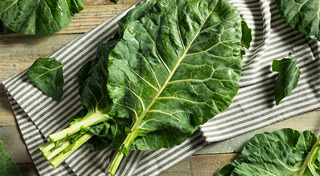 ปลูกผัก