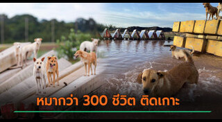 น้ำท่วมอุบลราชธานี