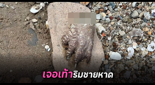 เท้า