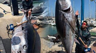 ดีเจภูมิ