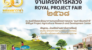 เที่ยวเชียงใหม่