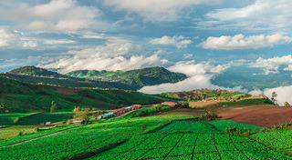 เที่ยวปลายฝนต้นหนาว