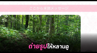 โรคของแมว