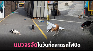 ตลาดนัดรถไฟ รัชดา